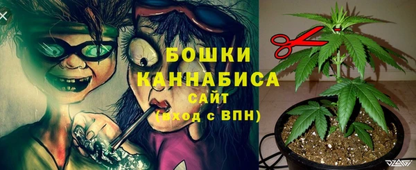 альфа пвп Карпинск