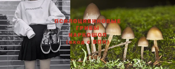 мяу мяу мука Касимов